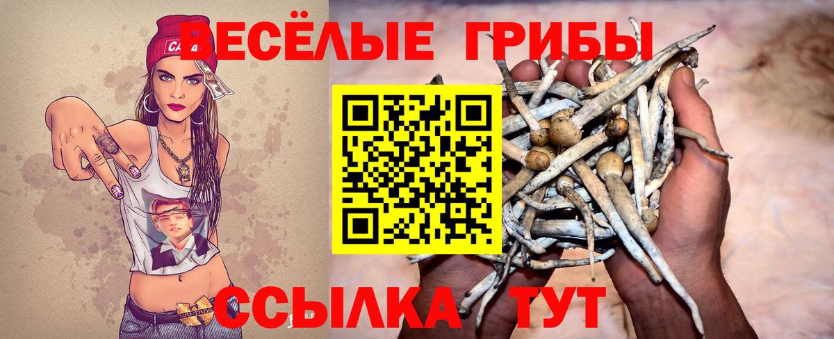Боровичи  Псилоцибиновые грибы Psilocybe  Вход с VPN 
