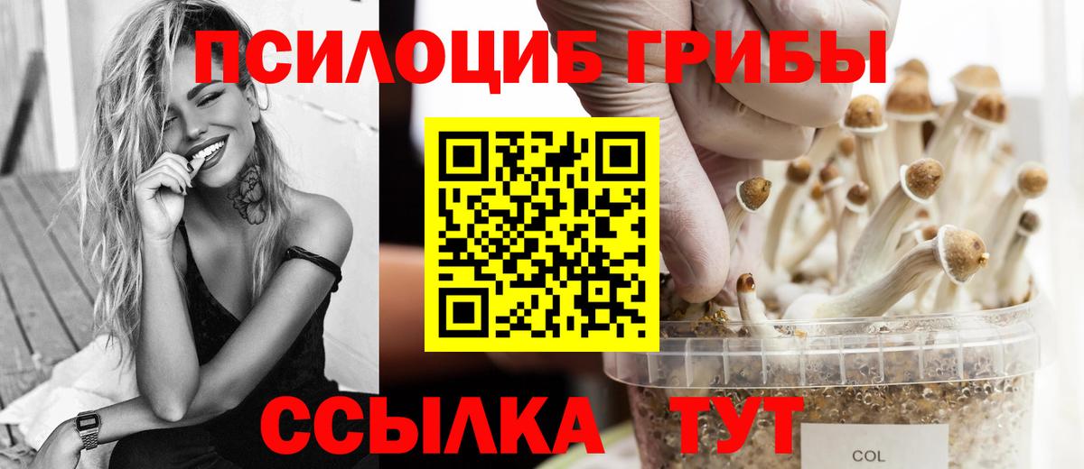 Псилоцибиновые грибы мухоморы Боровичи